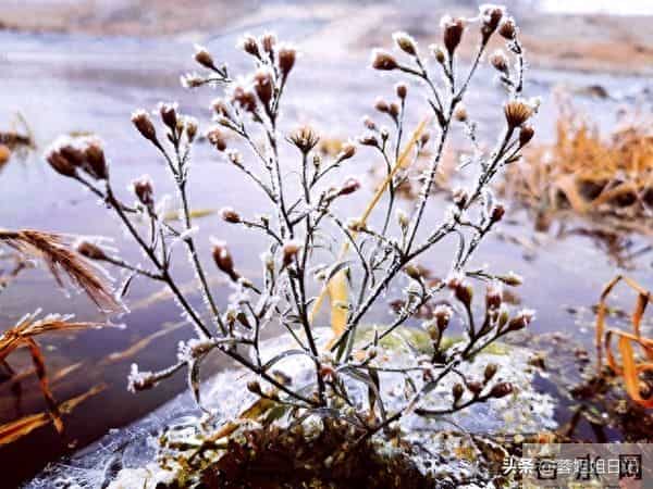 落进生活里的砂石终究会被挑拣丢弃,铅华不可弃,否极泰来度余生