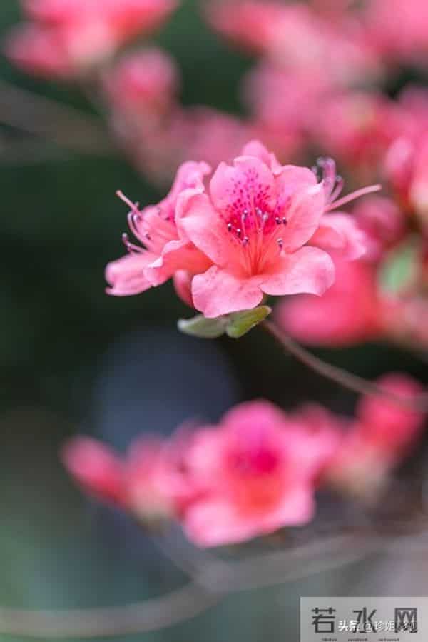 我 49 岁已绝经了,前段时间我和一个比我大五岁的老头子在一起了