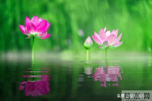 风水界不传之秘：这5条“人性铁律”，才是一个人改命的根本