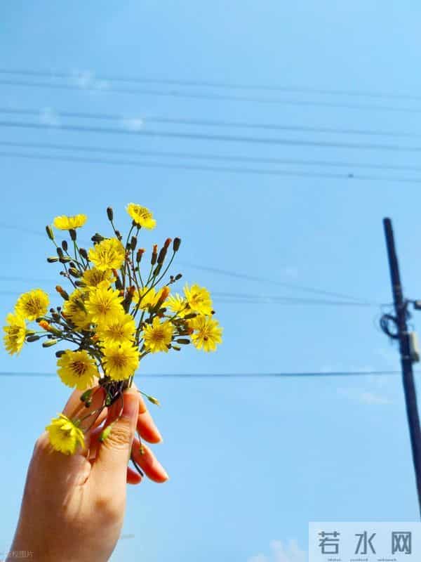 人到中年，最顶级的炫富