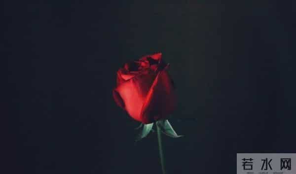 女子远嫁深圳离婚,分开15年前男友知道,主动联系再续前缘