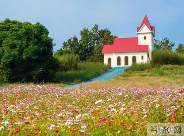 亲家经济状况如何,一看便知:没钱的亲家,大多有这几个穷喜好