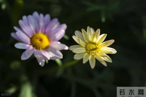 男女关系里，你撤退得越快，你的价值越高