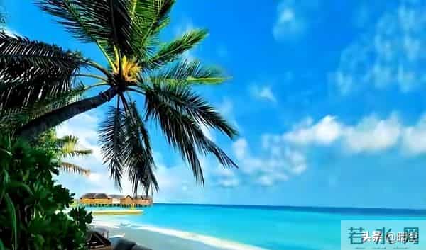 人开始转运的征兆！就一个字