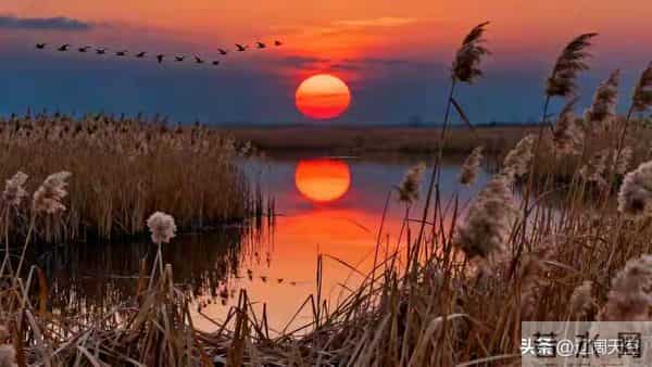 别划走!今天你的"福报”正在派送,请务必查收!