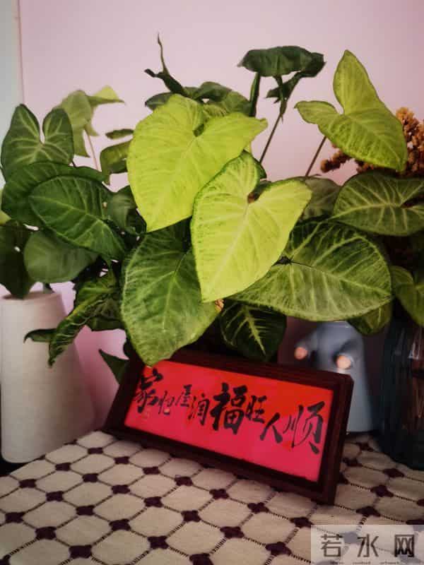 时间浅入冬，岁月深叠念。