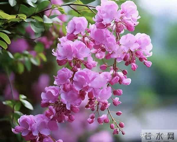 人在家中坐,财从天上来。天秤座的朋友,不管你信不信