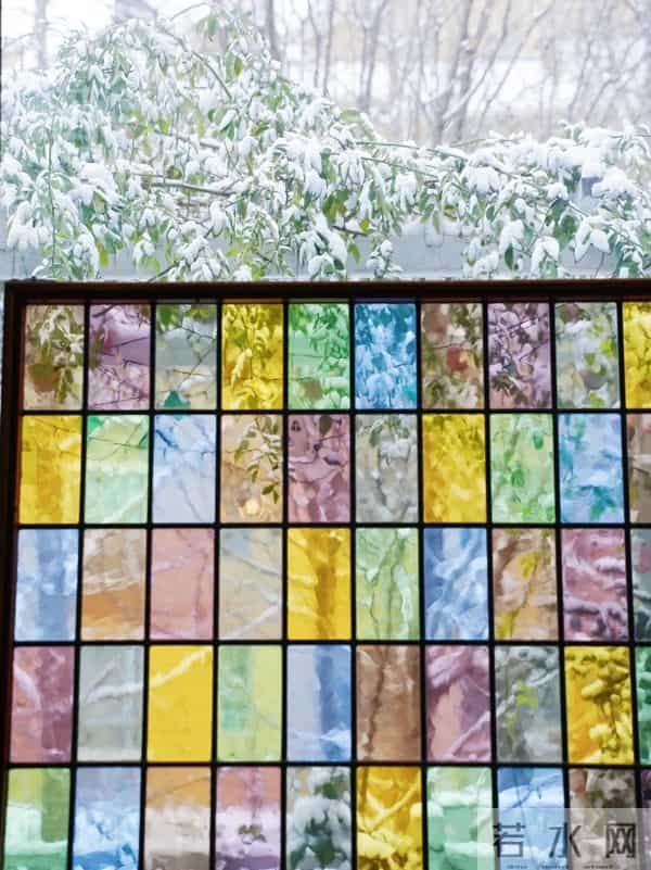 有个院子猫冬，是种幸福