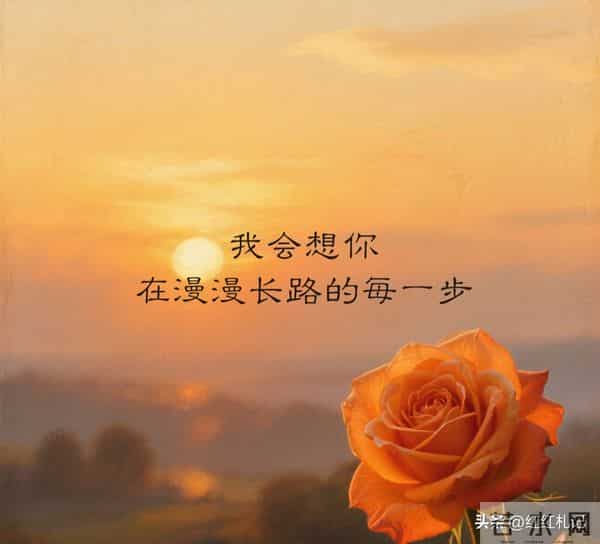 繁华满地，流年如诗不如你。