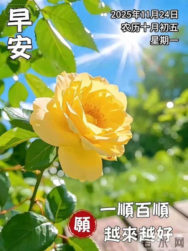 2025年11月24日十月初五早上好，周一早晨祝福语，冬日早安图片