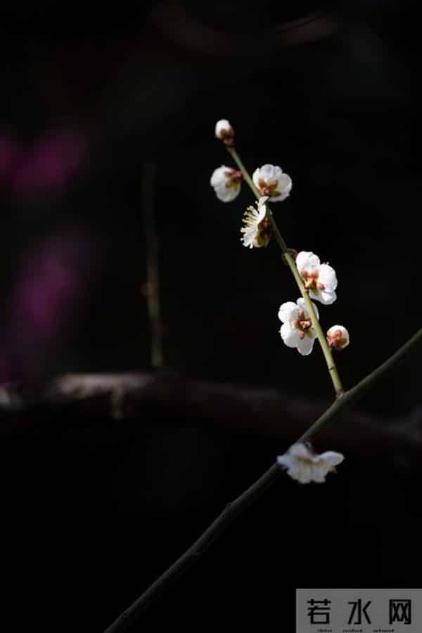 女人想要“越界”，会这样对你