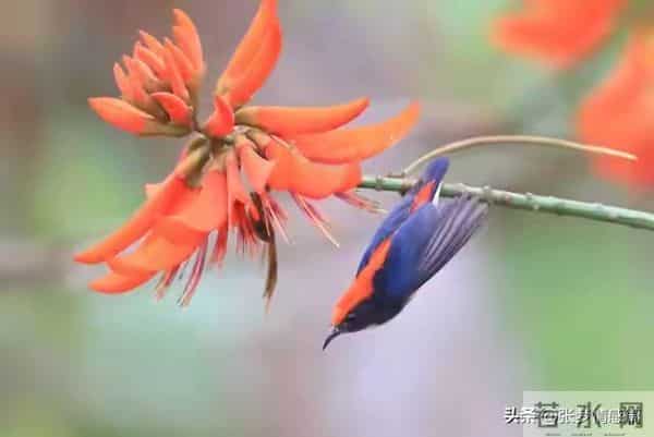 两性关系:63岁的我搭伙三次才知道,女人过了60岁找老伴太难了