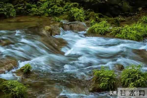 两性关系，惊人发现，60岁与异性靠近，根本不是桃花运，而是这个