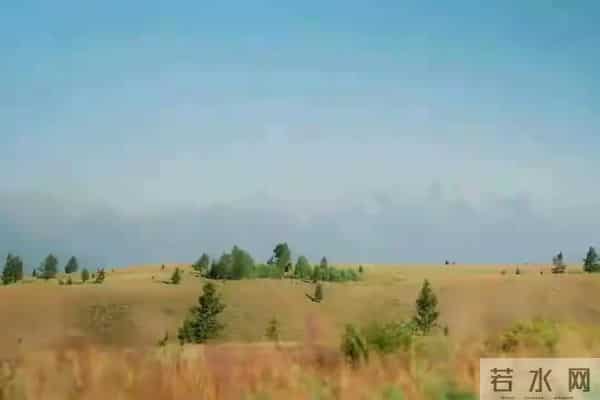 两性关系：为什么女人过了70岁还要找男人？70岁女人的大实话