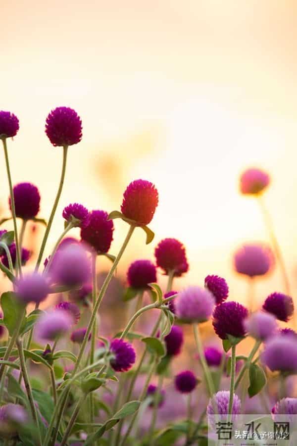 人过半生才悟：沉默不是寡言，是刻在骨子里的清醒