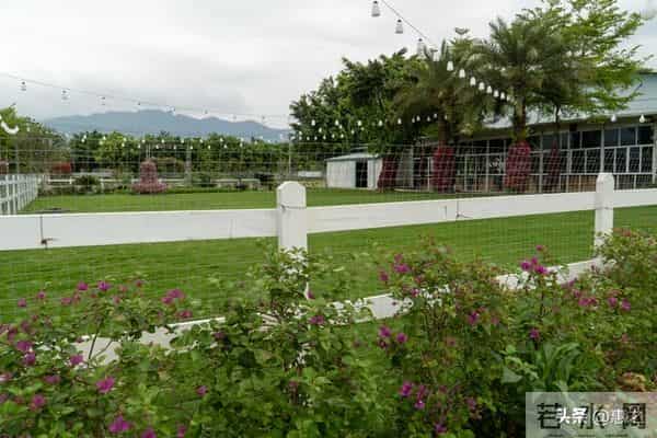 亲家经济状况如何,一看便知:没钱的亲家,大多有这几个穷喜好