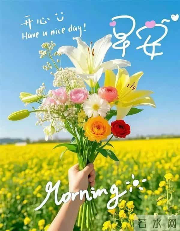 桂香裹雪暖,晨光染橙黄|2025.11.24周一早安祝福图片壁纸