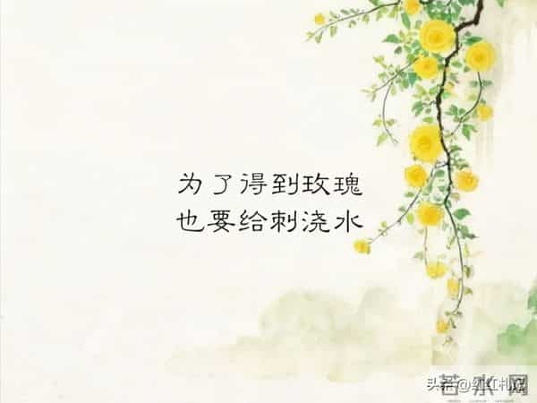 繁华满地，流年如诗不如你。