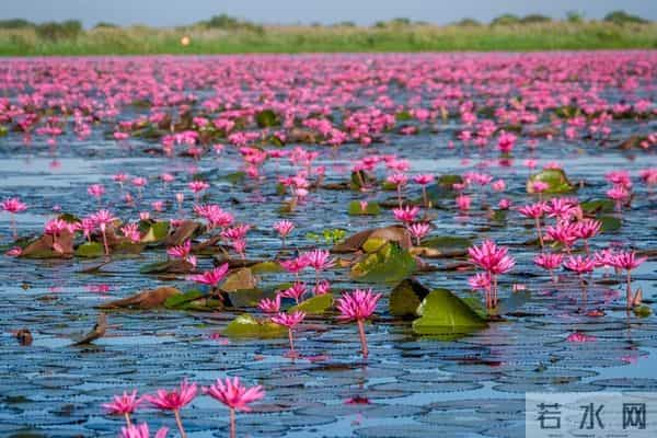 有一种爱,不管是否能够成为夫妻,都会永远放在心上