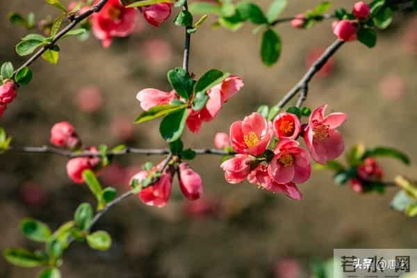 父母要告诉儿子，选女朋友不用想太复杂！认准几点，日子就安稳！