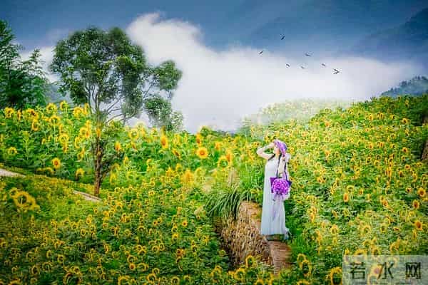 与人交往，最好有这10大城府，否则会被人欺负