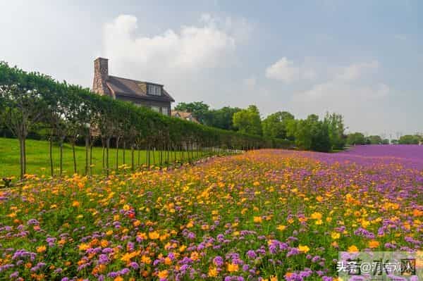 两性关系：55-65岁这十年，惜命的方式，不是锻炼，是做好这6点