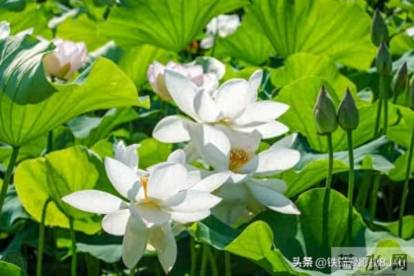 两性关系：女人过了五十五，永远不要在老公面前，做这6件事！