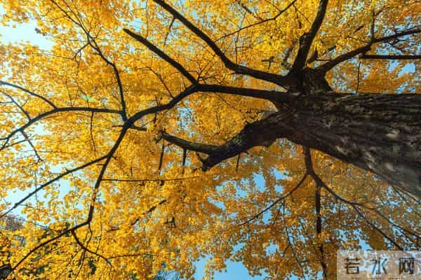 性和命和寿的关联：命好长寿的男人，身上往往有这几种特征