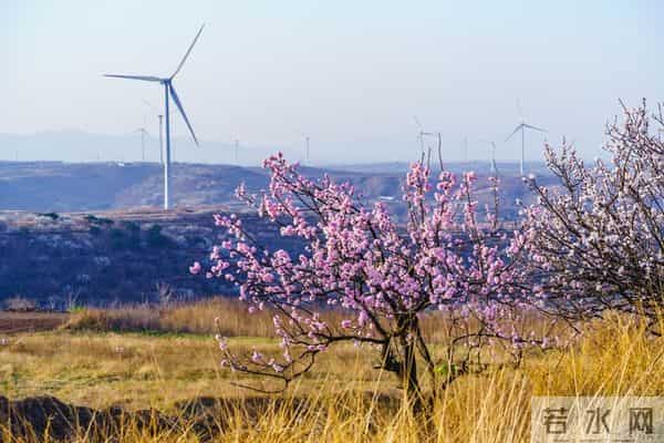 不管你信不信,女性过63岁后,基本都有如下6个现状!要坦然接受