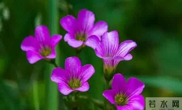 人在容易赚到钱的日子里,一定要存钱