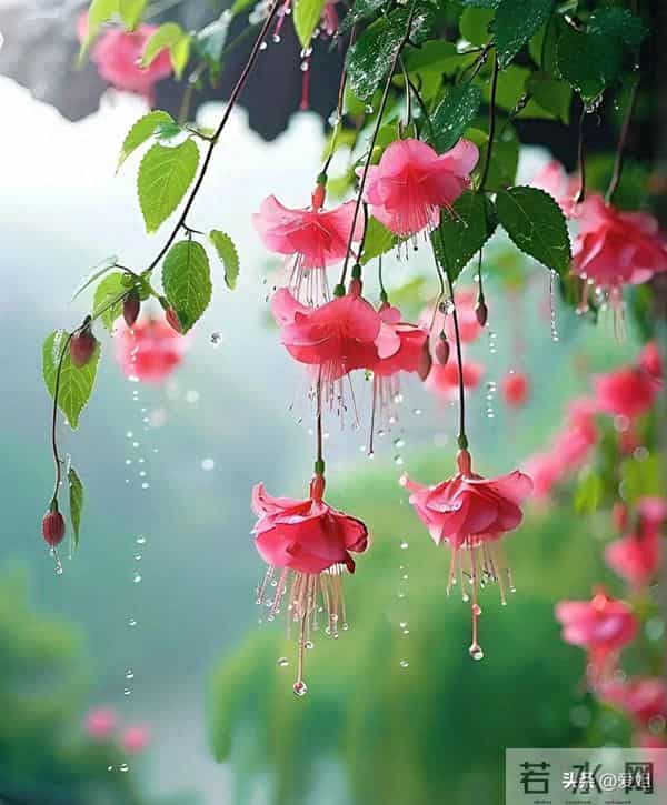 明天的你越来越好，越来越顺，赶紧签收属于你的好运