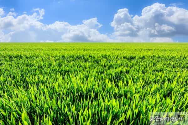 世界上最没用的是两件事：第一件是生气，第二件是这个