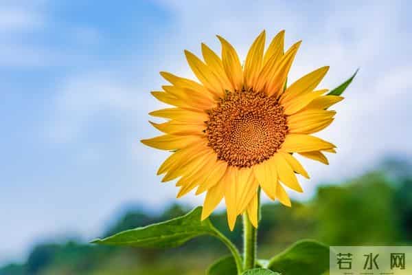 今天,接属于你的好运。