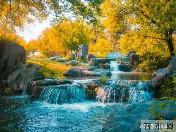 做人,有这样的本事,你会非常强!