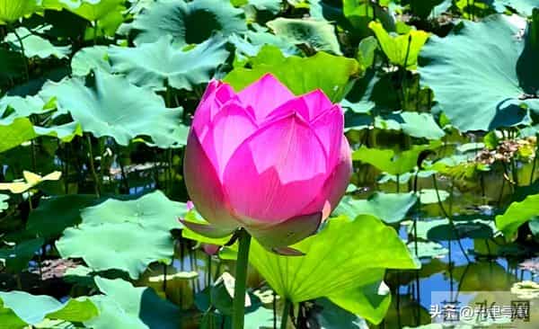 从明天起,请准备好接收你的好运!