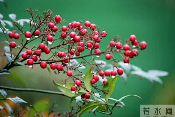 从明天起，对好运说“欢迎光临”！