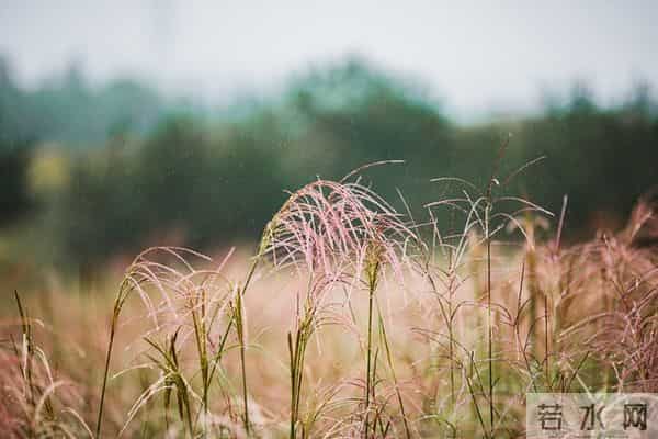 遇见你,邂逅爱,情深成痴,痴念成瘾
