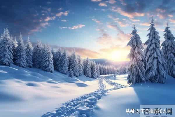 散文：我期盼着在冬天下雪的时候与你相遇