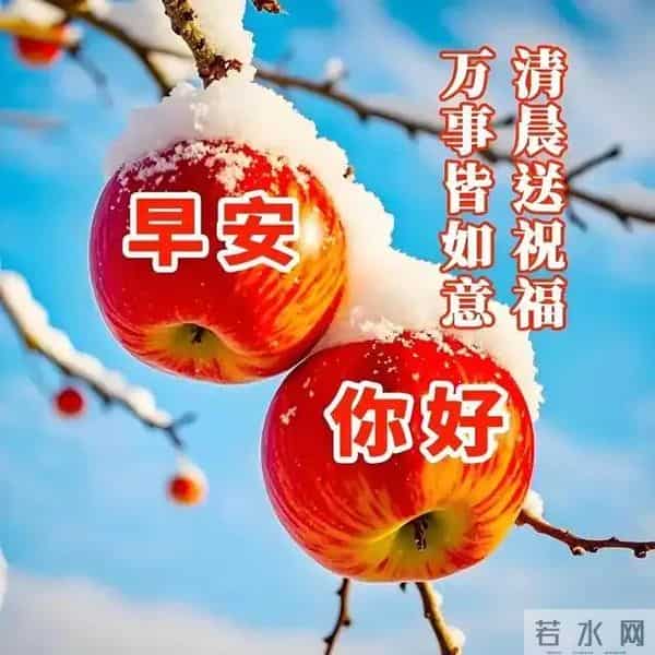11月24日早上好 早上好问候图片最新今天 早安你好