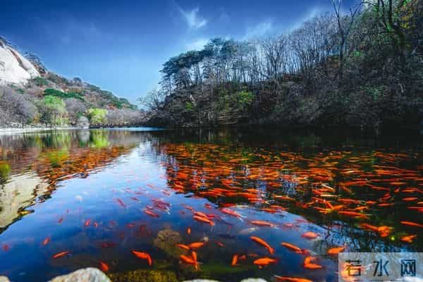 天赐横财，你的好运气来了，钱都追着你跑，想不发财都难