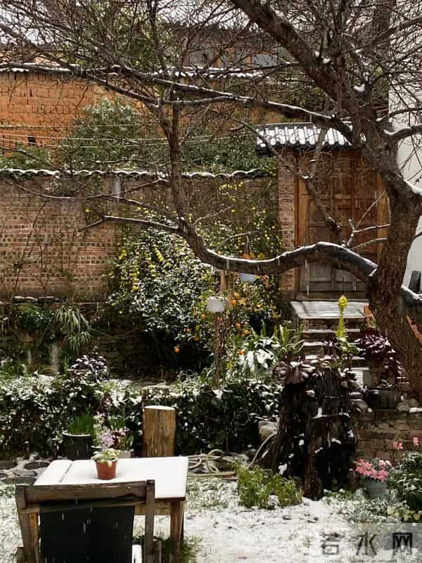 有个院子猫冬,是种幸福