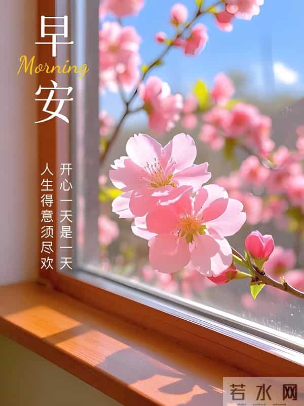 朋友圈早安文案,愿今日的你,如这林间的光,既温柔,又充满力量