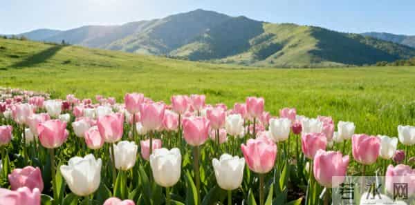 到了这个岁数，就会越活越明白：人生所有的关系，不过是相识一场