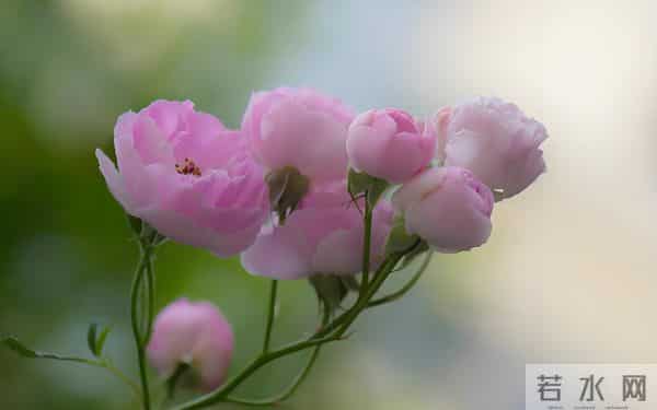 "聪明人，从不社交"，真正通透的人，早已退出了人脉的竞技场。