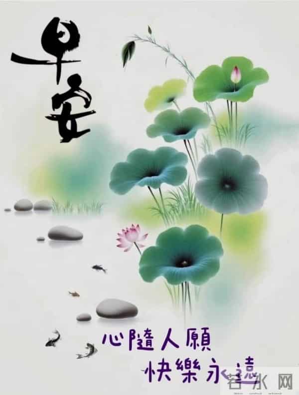 11月24日早上好 早上好图片最新今天 早安问候图片 早安暖心的句子