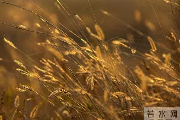 烟火人间,诗意生活:32句暖心文案,治愈你的疲惫心灵