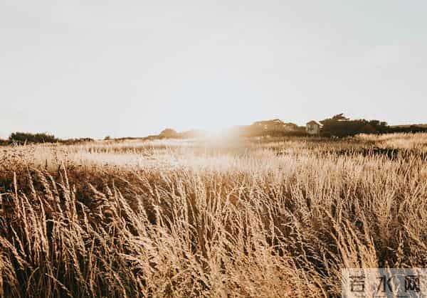 人到中年，有三种关系别再回头：留不住的，别追；走散的，不必见