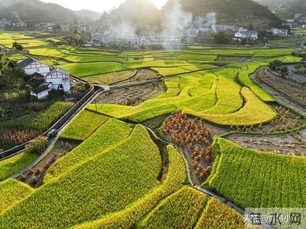 世界上最没用的是两件事：第一件是生气，第二件是这个