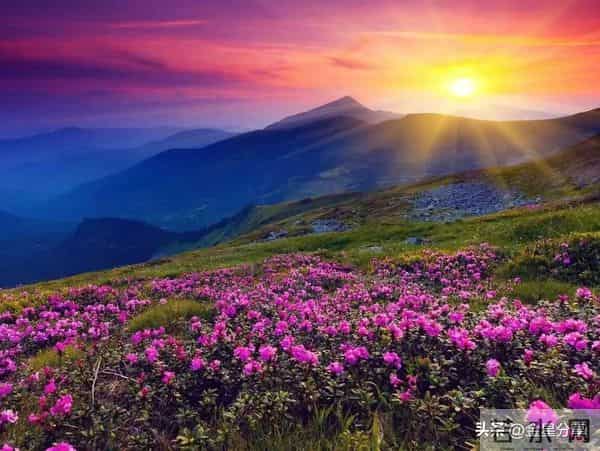 我刚给女儿转70万，电话还没挂，女婿问女儿：你妈降压药换了吗