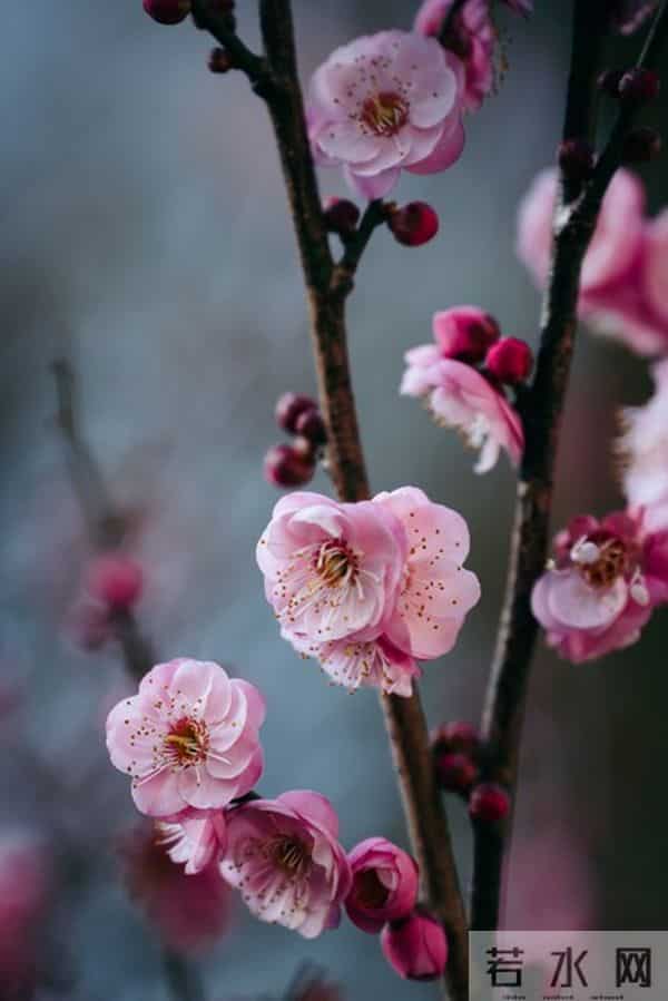 女人想要“越界”，会这样对你